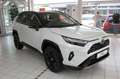 Toyota RAV 4 RAV4 2.5 Hybrid 4x4 Style Selection Navi JBL 360°K Weiß - thumbnail 2