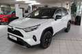 Toyota RAV 4 RAV4 2.5 Hybrid 4x4 Style Selection Navi JBL 360°K Weiß - thumbnail 1