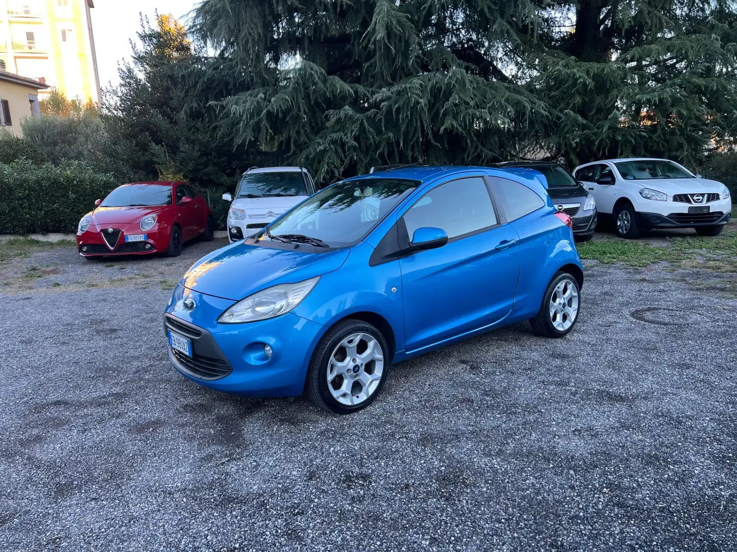 Ford Ka/Ka+ Ka 1.2 8V 69CV Titanium*NEOPATENTATI Blau - 1
