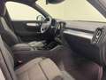 Volvo XC40 T2 CORE AUTO Grigio - thumbnail 3