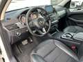 Mercedes-Benz GLE 250 d 4Matic Exclusive Plus Bianco - thumbnail 11