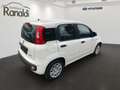 Fiat Panda MILD-HYBRID++TAGESZULASSUNG!+HAMMERPREIS! Blanc - thumbnail 3
