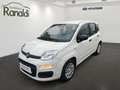 Fiat Panda MILD-HYBRID++TAGESZULASSUNG!+HAMMERPREIS! Blanc - thumbnail 1