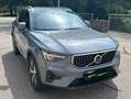 Volvo XC40 XC40 B4 AWD Plus Bright Aut. Plus Bright Grau - thumbnail 6