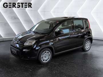 4x2 FireFly Hybrid 70 Pandina