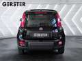Fiat Panda 4x2 FireFly Hybrid 70 Pandina Schwarz - thumbnail 5