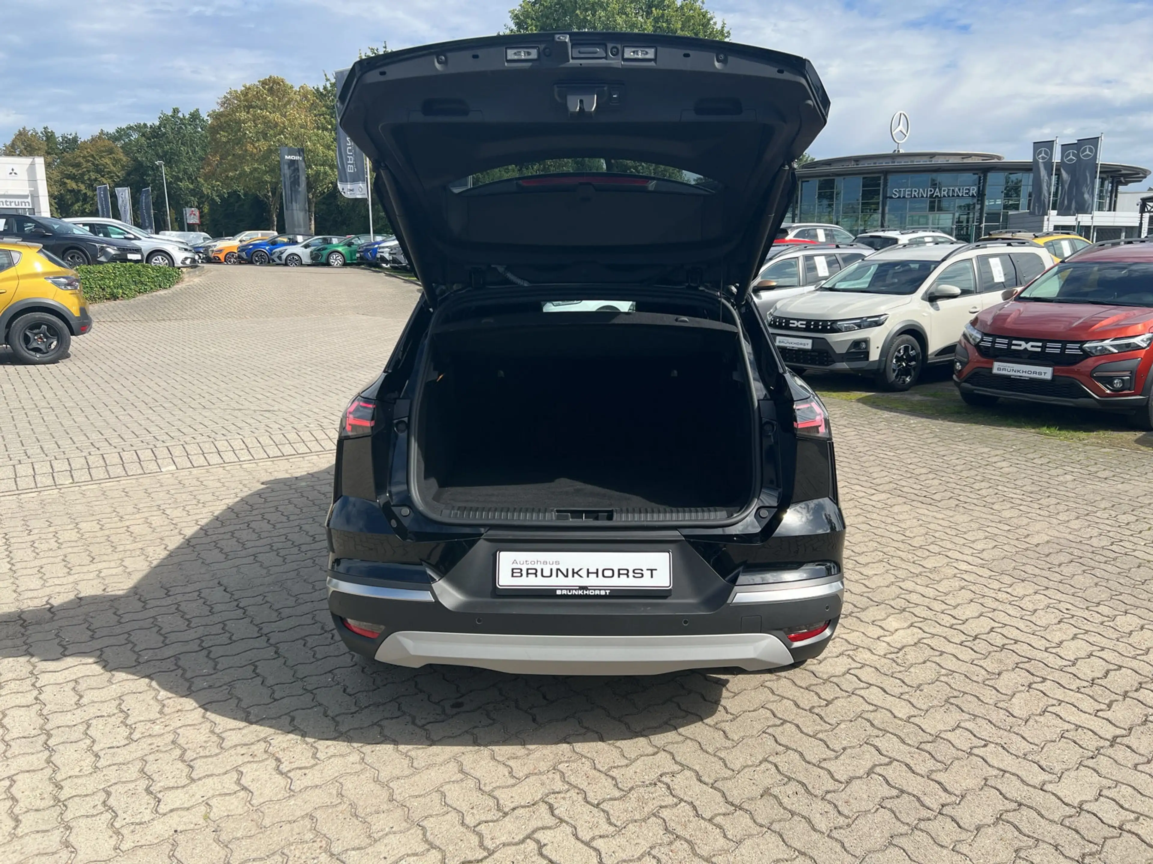 Renault Symbioz E-Tech Full Hybrid 145 Iconic GJR+360° Kamera+LED — photo 15