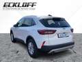 Ford Kuga 1.5 EcoBoost Titanium *LED*AHK*NAVI*4xSHZ Weiß - thumbnail 4