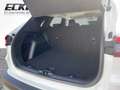 Ford Kuga 1.5 EcoBoost Titanium *LED*AHK*NAVI*4xSHZ Weiß - thumbnail 7