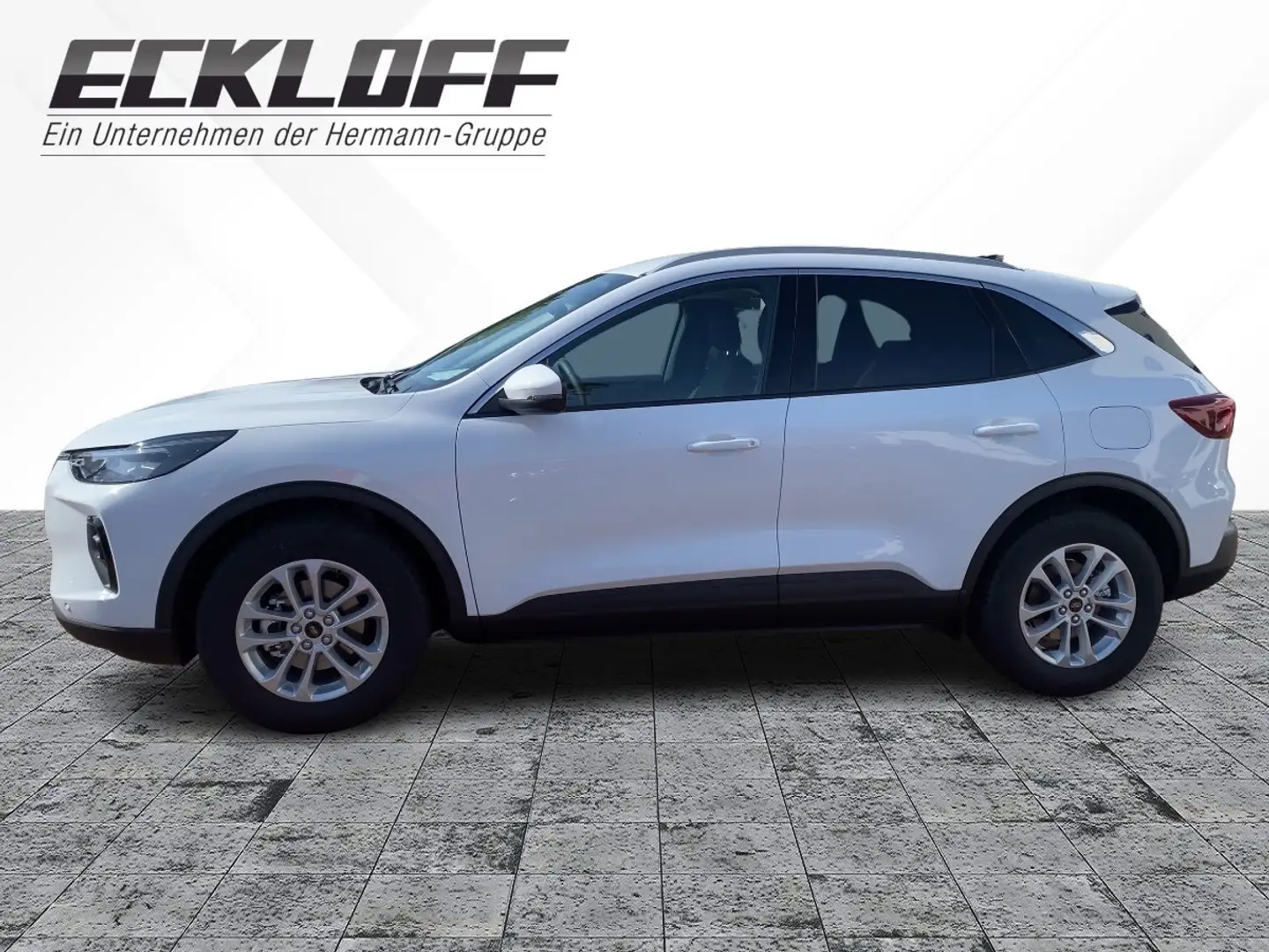 Ford Kuga 1.5 EcoBoost Titanium *LED*AHK*NAVI*4xSHZ Weiß - 2