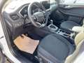 Ford Kuga 1.5 EcoBoost Titanium *LED*AHK*NAVI*4xSHZ Weiß - thumbnail 8