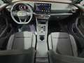 CUPRA Formentor 1.5 TSI LED+NAVI+PARKLENK+AHK+ACC+GJR Gris - thumbnail 10