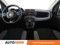 Fiat Panda 1.0 Mild-Hybrid City Life MHEV Blu/Azzurro - thumbnail 12