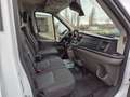 Ford Transit Kasten 350 L4 Trend Blanc - thumbnail 11