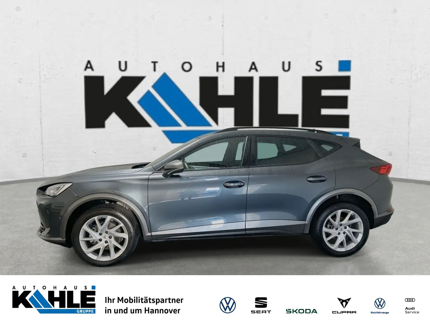 CUPRA Formentor 2.0 TDI 4Drive DSG Gris - 1