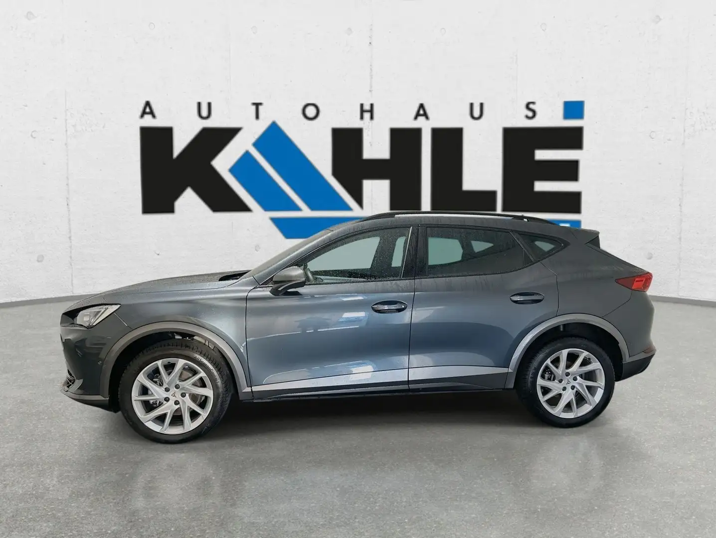 CUPRA Formentor 2.0 TDI 4Drive DSG Grau - 2