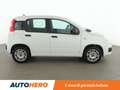 Fiat Panda 1.2 Easy Bianco - thumbnail 7