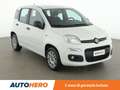 Fiat Panda 1.2 Easy Bianco - thumbnail 8