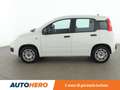 Fiat Panda 1.2 Easy Bianco - thumbnail 3