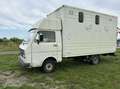 Volkswagen LT Bestel 40 2.4 AD Syncro 4x4 PAARDENWAGEN Wit - thumbnail 17