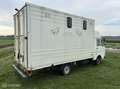 Volkswagen LT Bestel 40 2.4 AD Syncro 4x4 PAARDENWAGEN Wit - thumbnail 22
