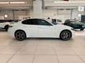 Alfa Romeo Giulia 2.2 Turbodiesel 210 CV AT8 AWD Q4 Veloce KM ZERO Bianco - thumbnail 6