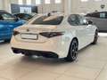 Alfa Romeo Giulia 2.2 Turbodiesel 210 CV AT8 AWD Q4 Veloce KM ZERO Bianco - thumbnail 5