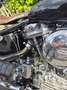 Harley-Davidson Panhead Bobber/ Old School Fekete - thumbnail 6