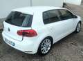 Volkswagen Golf Golf 5p 1.6 tdi Highline Bianco - thumbnail 6