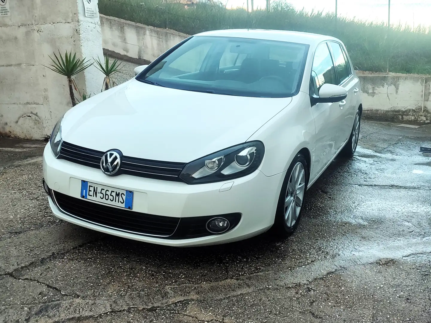 Volkswagen Golf Golf 5p 1.6 tdi Highline Bianco - 2