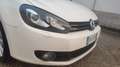 Volkswagen Golf Golf 5p 1.6 tdi Highline Bianco - thumbnail 3