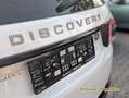 Land Rover Discovery Sport HSE 2.0 Td4 4 HSE Navi. BT. Biały - thumbnail 16