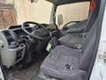 Nissan Cabstar Furgonato - thumbnail 5