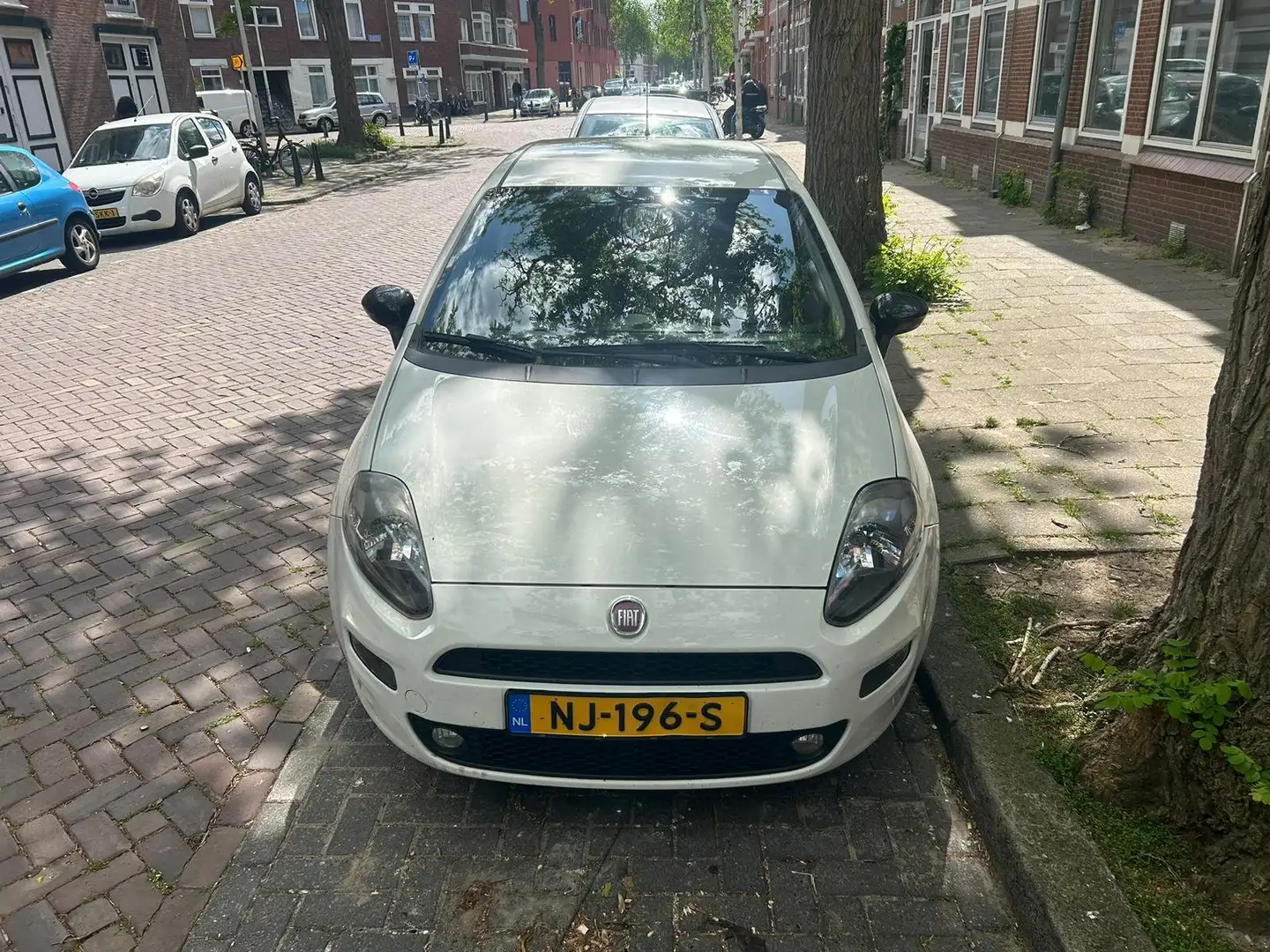 Fiat Punto Punto 0.9 TwinAir Easy White - 1