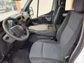 Renault Master T30 2.3 dCi/125 PC-TN Combi QS E5 Alb - thumbnail 7
