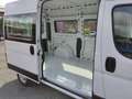 Opel Movano C 2.2 CDTI Kasten L2H2 Window Van Klima PDC Tempom Weiß - thumbnail 16