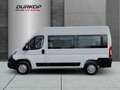 Opel Movano C 2.2 CDTI Kasten L2H2 Window Van Klima PDC Tempom Weiß - thumbnail 2