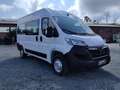 Opel Movano C 2.2 CDTI Kasten L2H2 Window Van Klima PDC Tempom Weiß - thumbnail 15