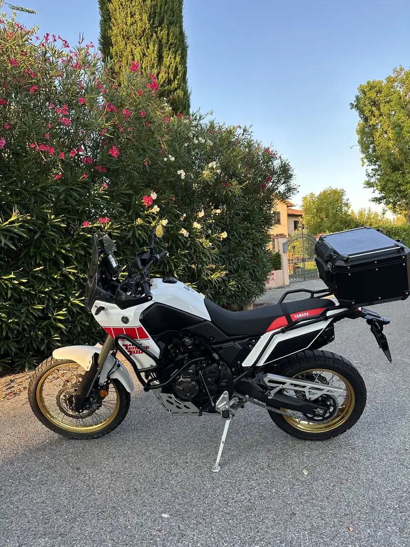 Yamaha Ténéré 700 Rally - 1