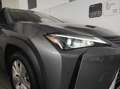 Lexus - UX Hybrid Business Grigio - thumbnail 3
