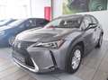 Lexus - UX Hybrid Business Grigio - thumbnail 2