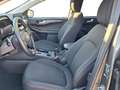 Ford Kuga Titanium Hybrid FHEV AWD Grau - thumbnail 15