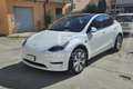Tesla Model Y Model Y RWD Bianco - thumbnail 1