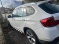 BMW X1 X1 E84 xdrive20d Eletta White - thumbnail 8