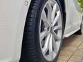 Audi A4 35 TDI S-LINE, PANO*STANDHEIZ.*AHK*KAMERA*ACC!!! Weiß - thumbnail 12
