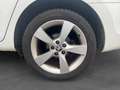 Skoda Rapid/Spaceback 1.6 TDI 90 ch CR FAP Green Tec Elegance Bílá - thumbnail 18