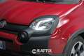 Fiat Panda Pandina 1.0 Firefly Hybrid 70CV Cross Rosso - thumbnail 3