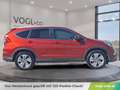Honda CR-V 1.6 i-DTEC Lifestyle Plus Automatik Rot - thumbnail 8