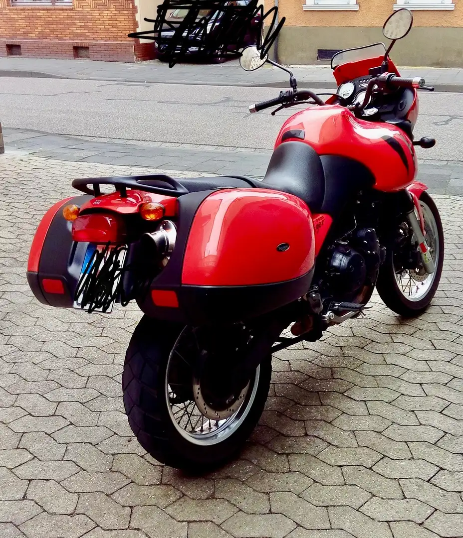 Triumph Tiger 955i Orange - 1