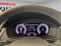 Audi Q5 S line 40 TDI quattro S tronic (Pano.Kamera.Navi.S Grau - thumbnail 14